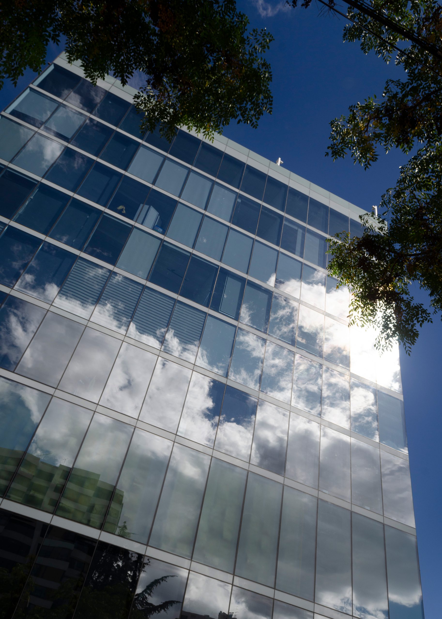 Edificio